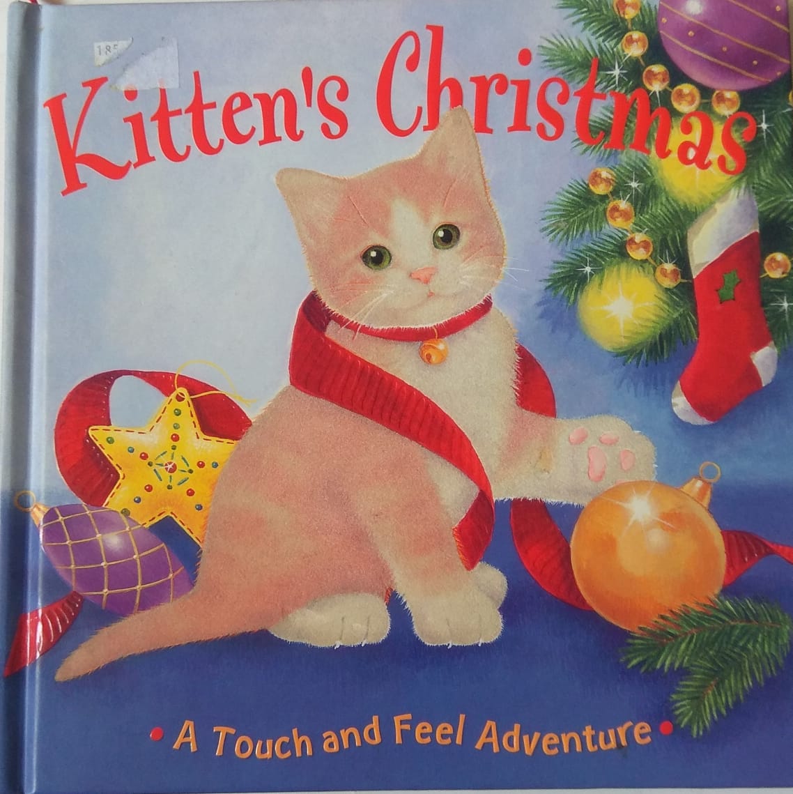 IMG : Kitten's Christmas