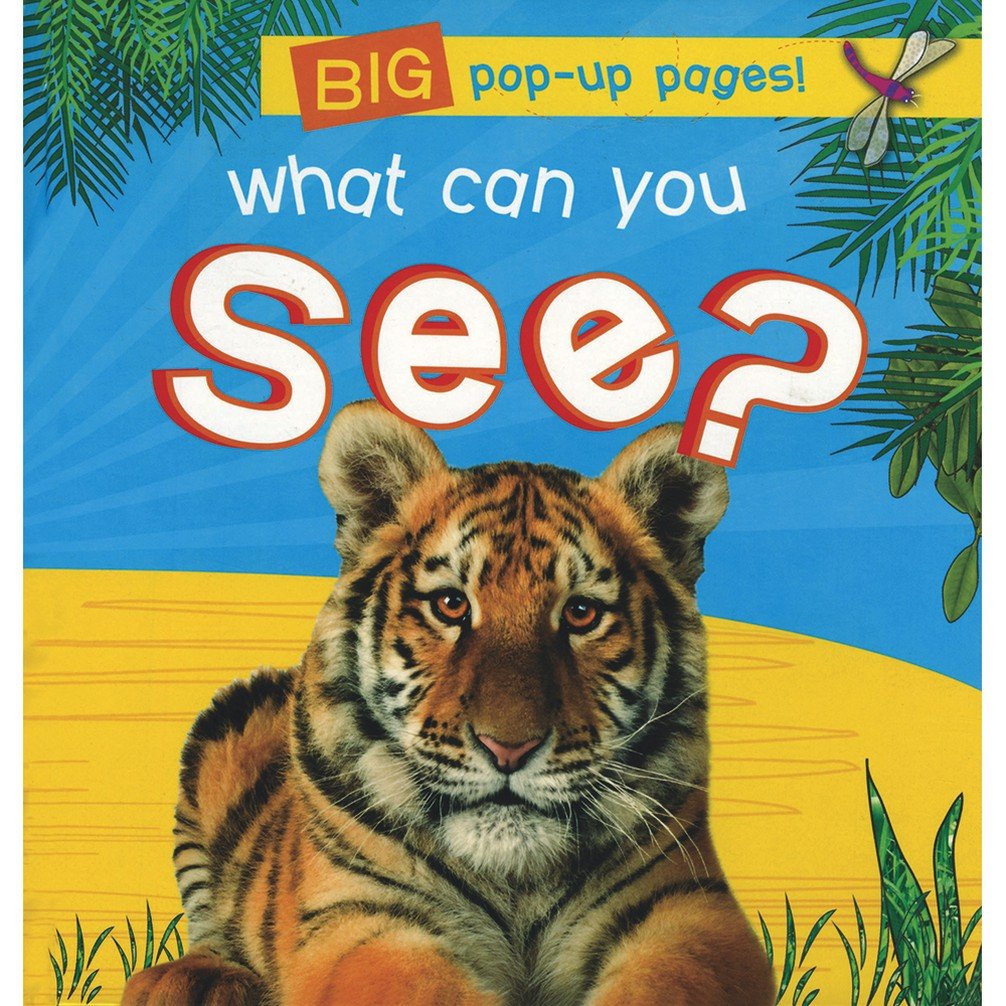IMG : What can you See?