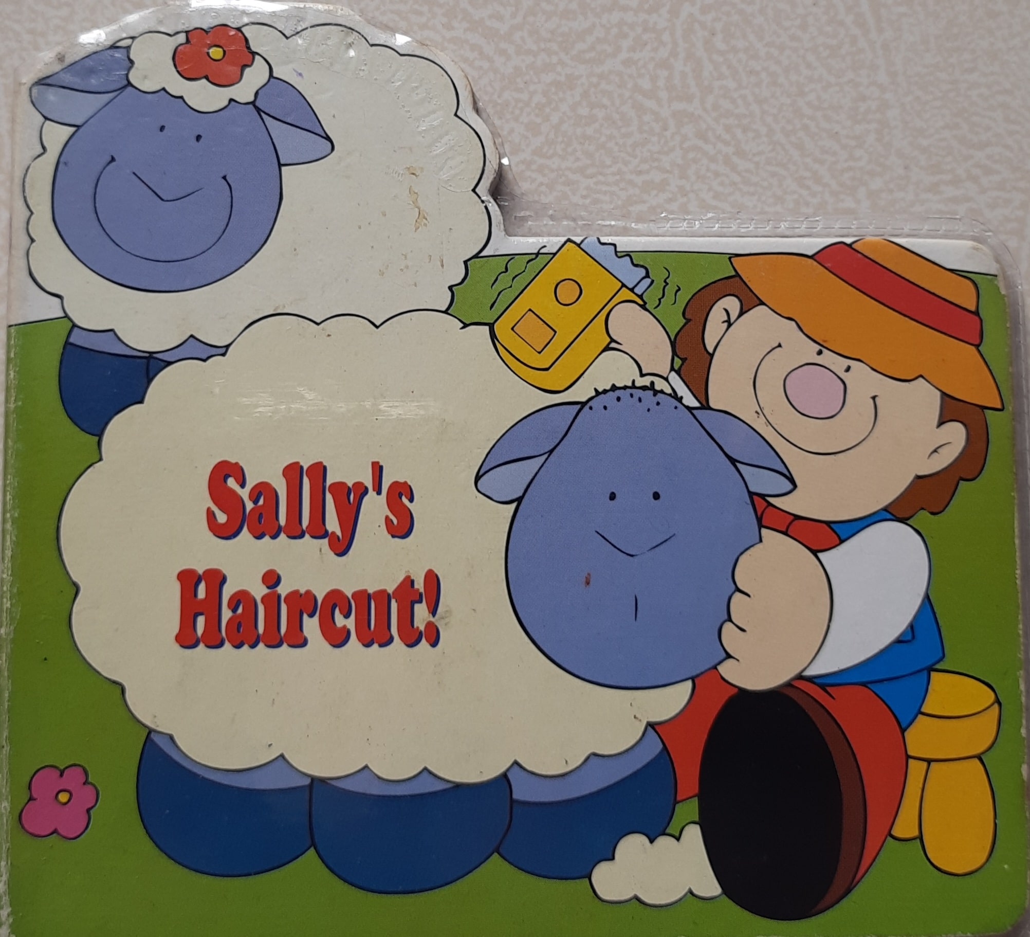 IMG : Sally's Haircut