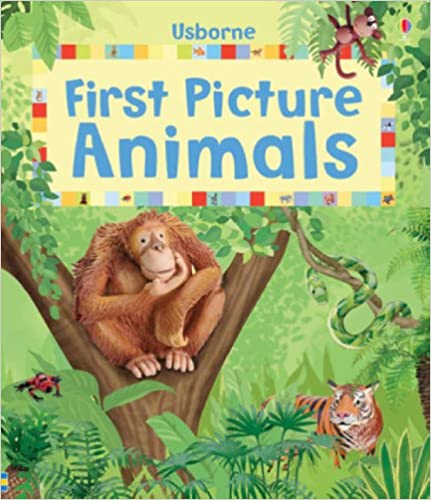 IMG : First Picture Animals