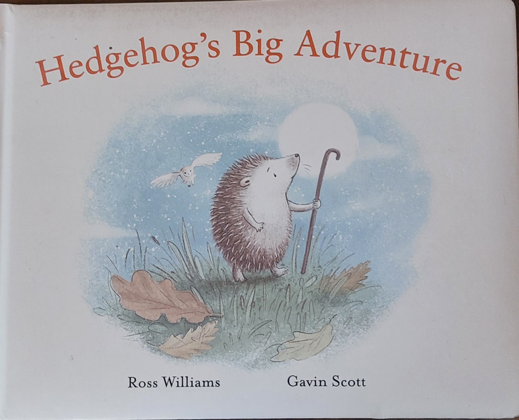IMG : Hedgehog's Big Adventure 