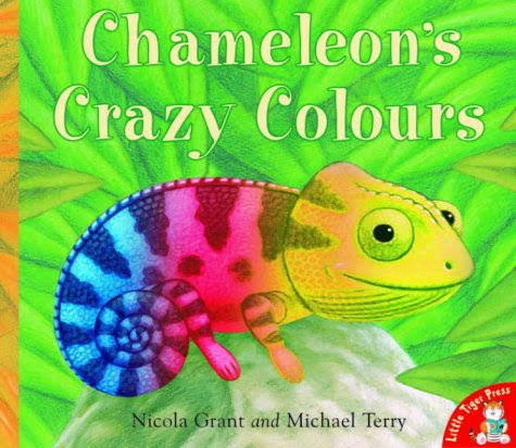 IMG : Chameleon's Crazy colours