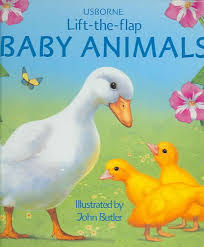 IMG : Baby Animals