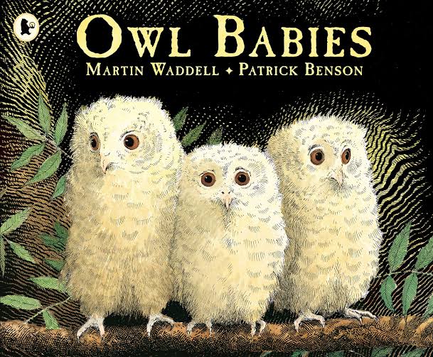 IMG : Owl Babies