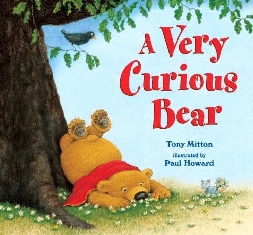 IMG : A Very Curious Bear