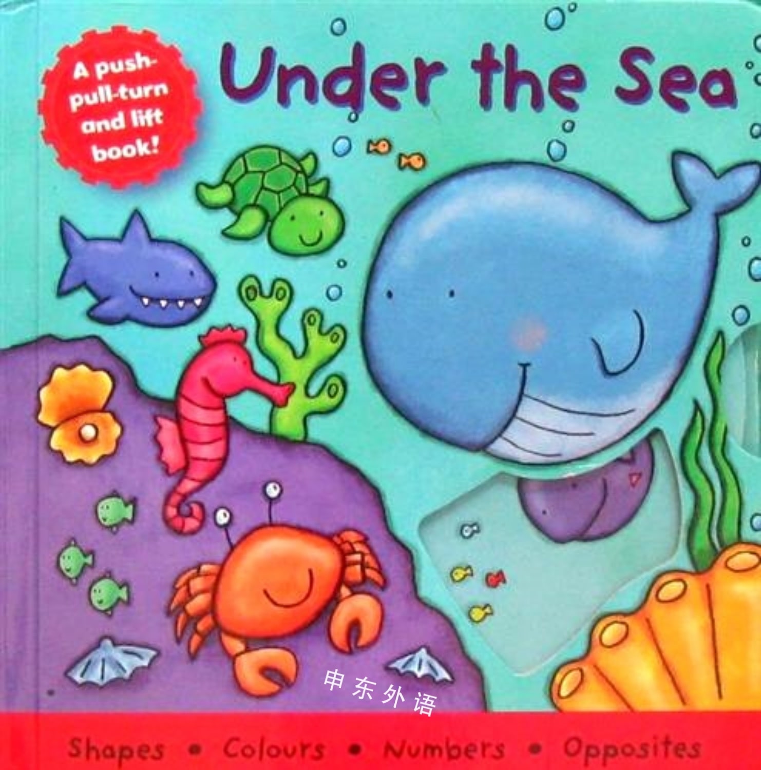 IMG : Under the Sea
