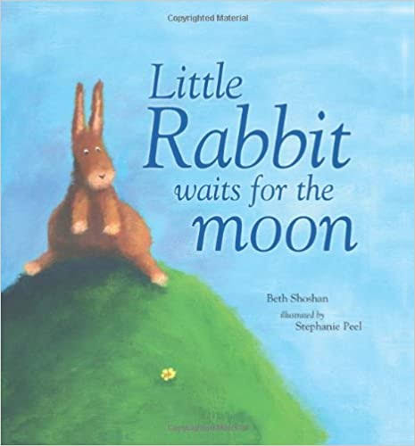 IMG : Little rabbit waits for the moon