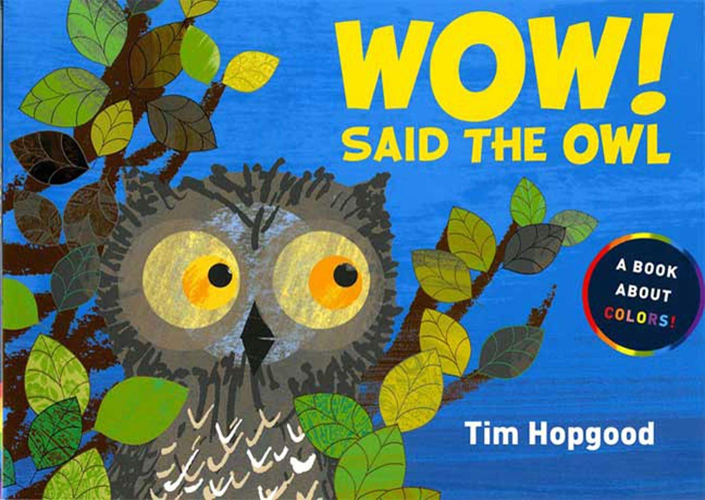 IMG : Wow! Said the Owl      Book about colours