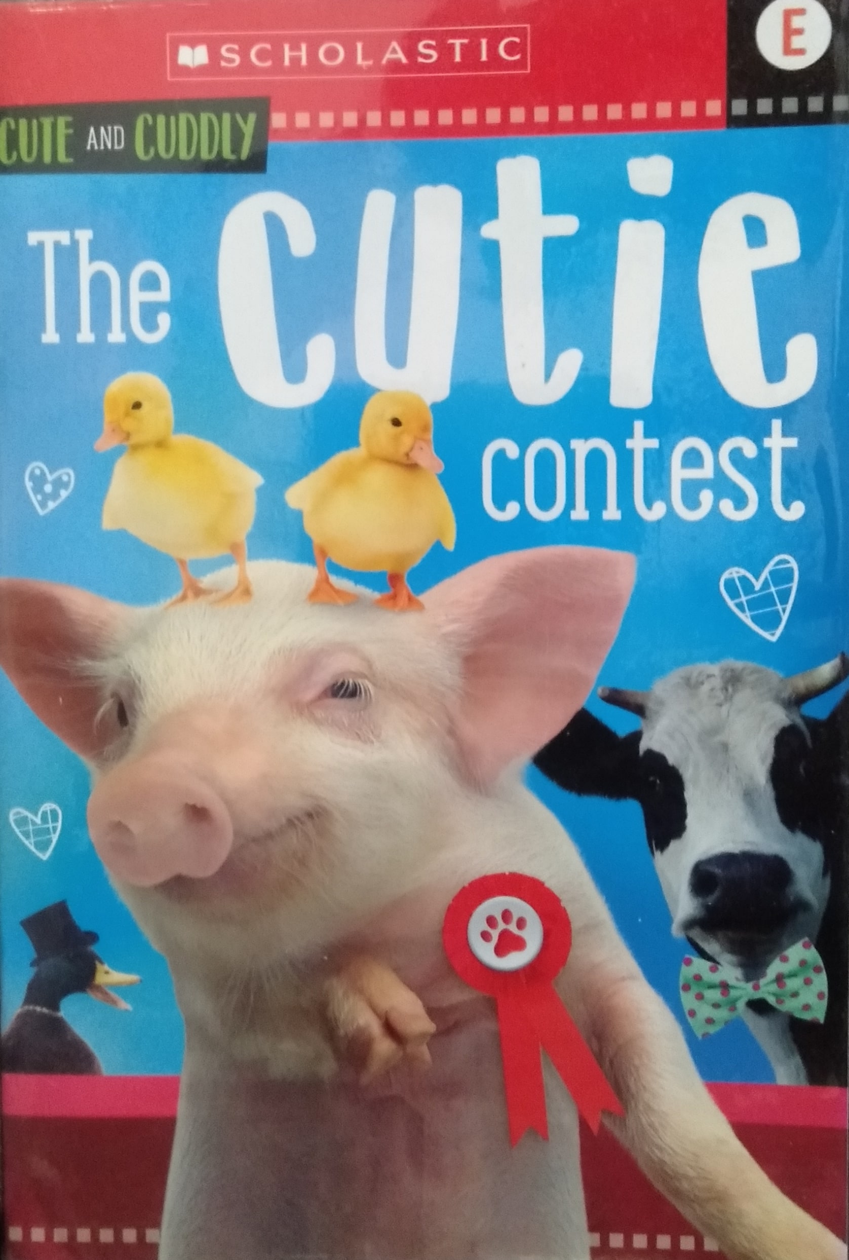IMG : Animal Antics Cute and Cuddly The cutie Contest