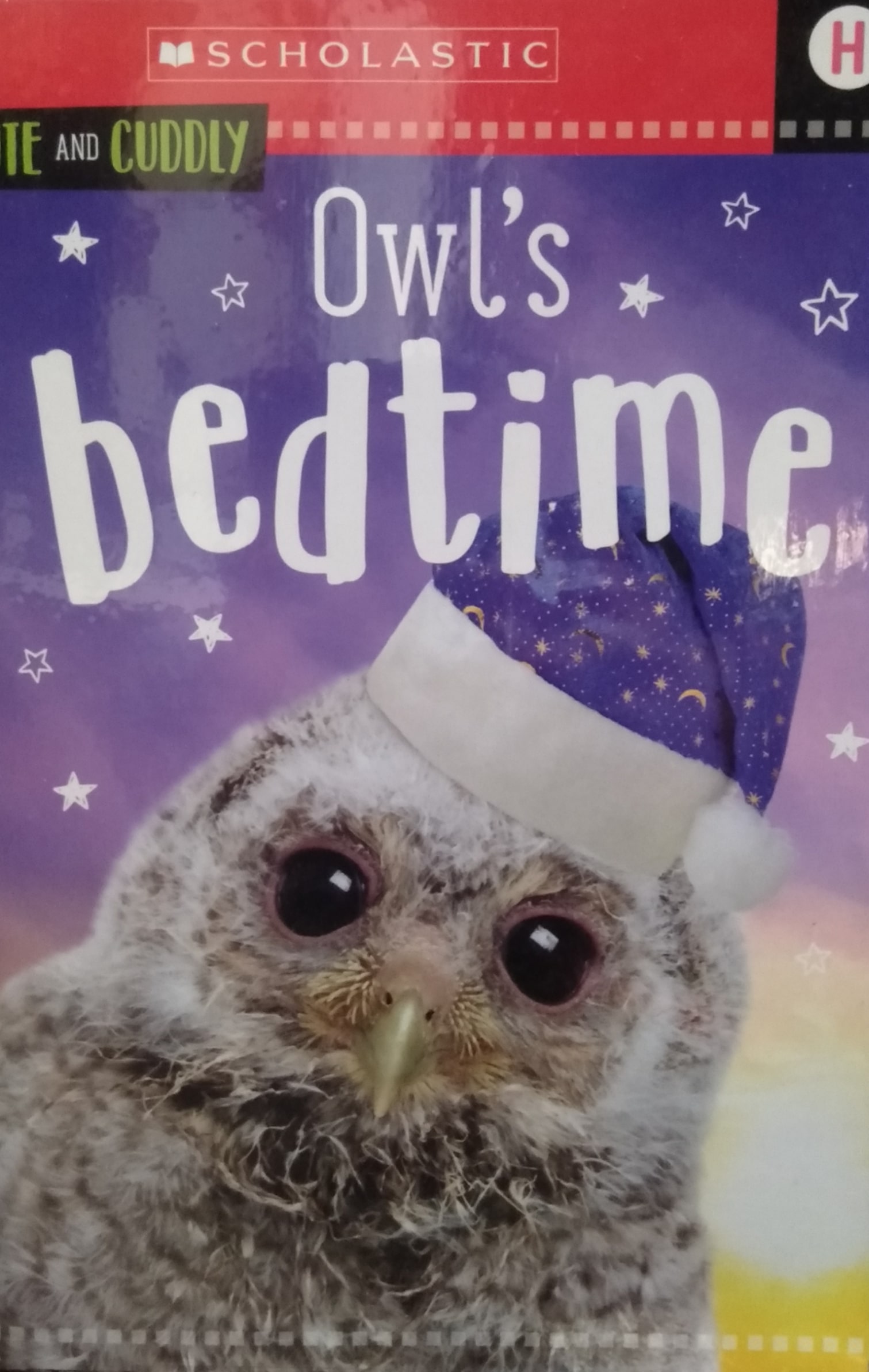 IMG : Animal Antics Cute and Cuddly Owl's bedtime
