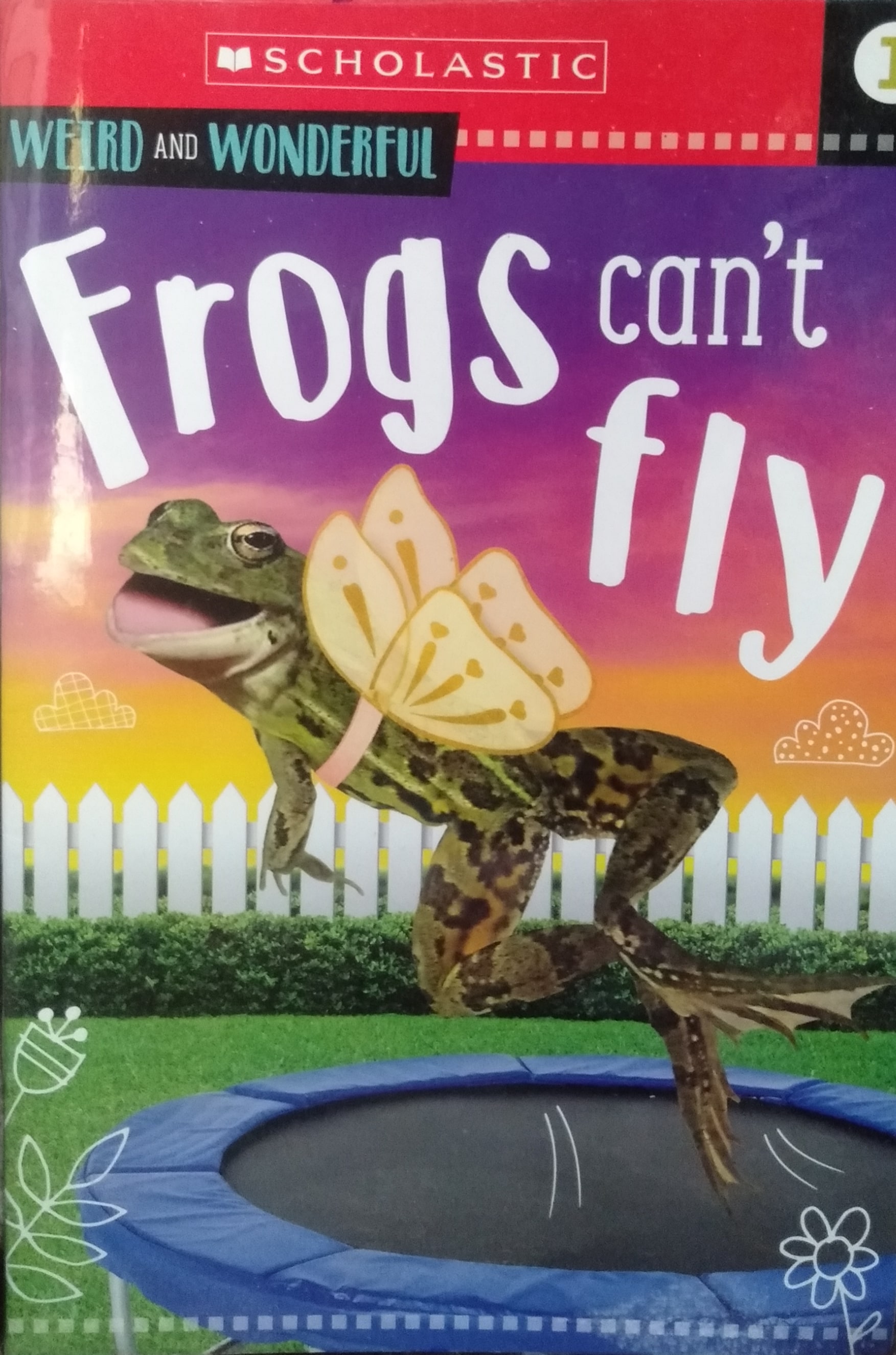 IMG : Animal Antics Weird and Wonderful Frogs cant fly