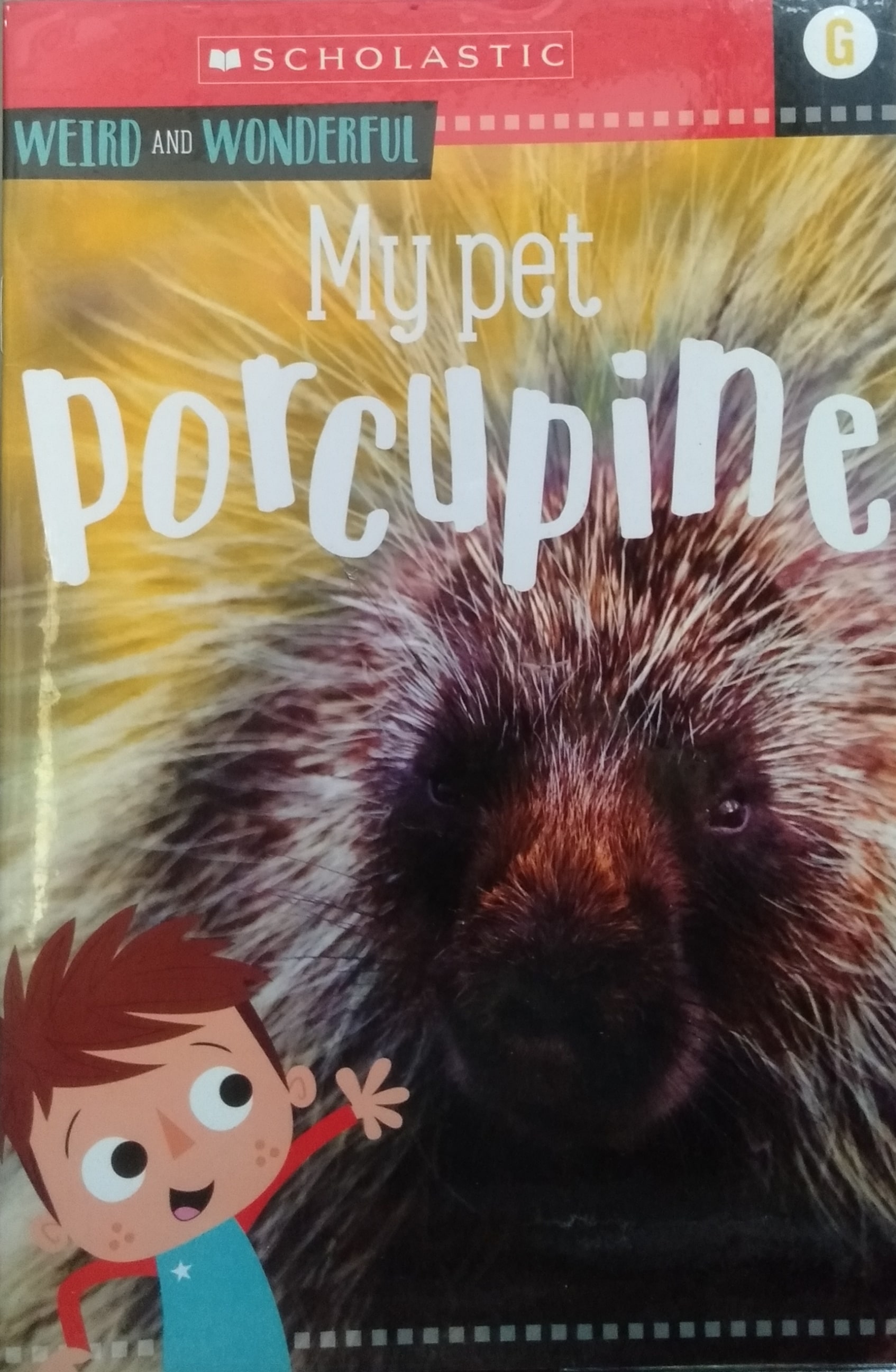 IMG : Animal Antics Weird and Wonderful My Pet Porcupine