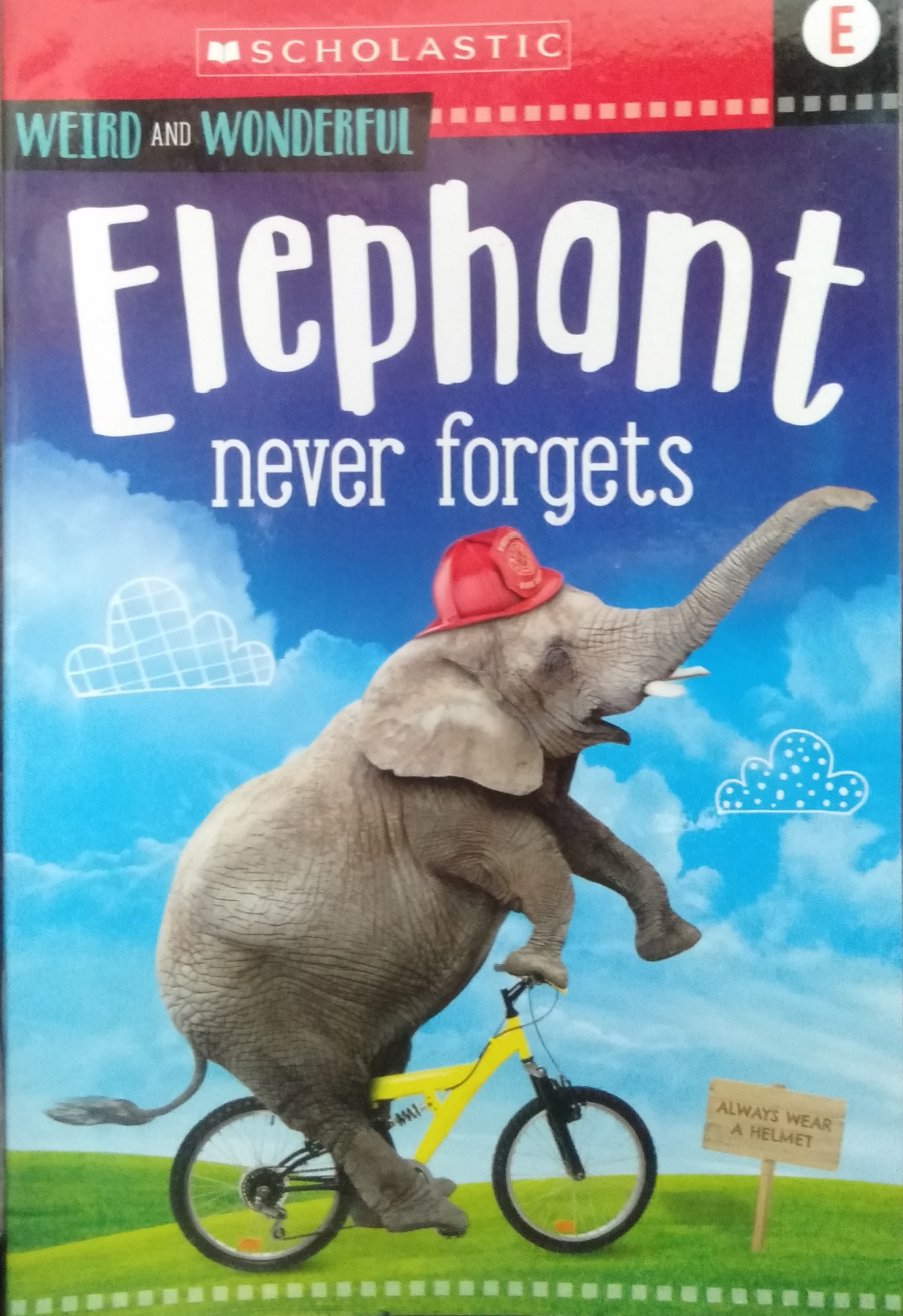IMG : Animal Antics Weird and Wonderful Elephant never forgets