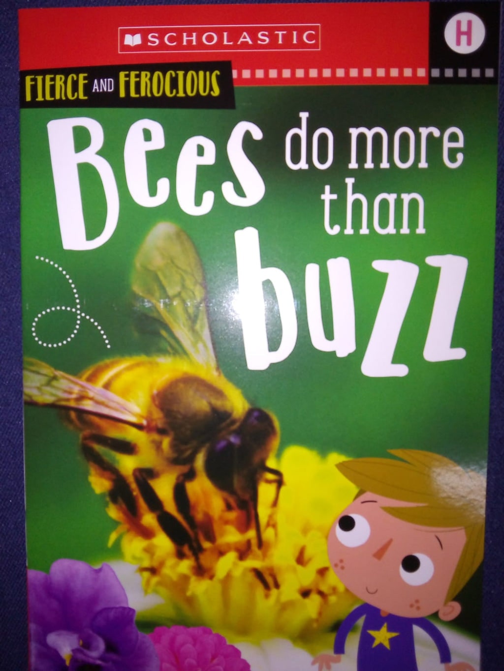 IMG : Animal Antics Fierce and Ferocious Bees do more than buzz
