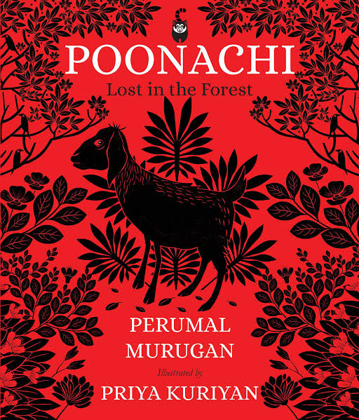 IMG : Poonachi  Lost in the forest