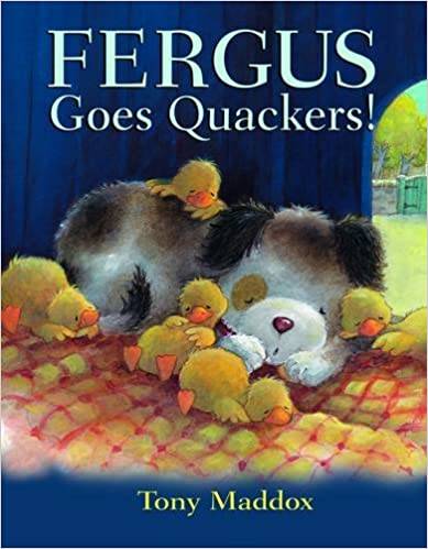 IMG : Fergus goes Quackers