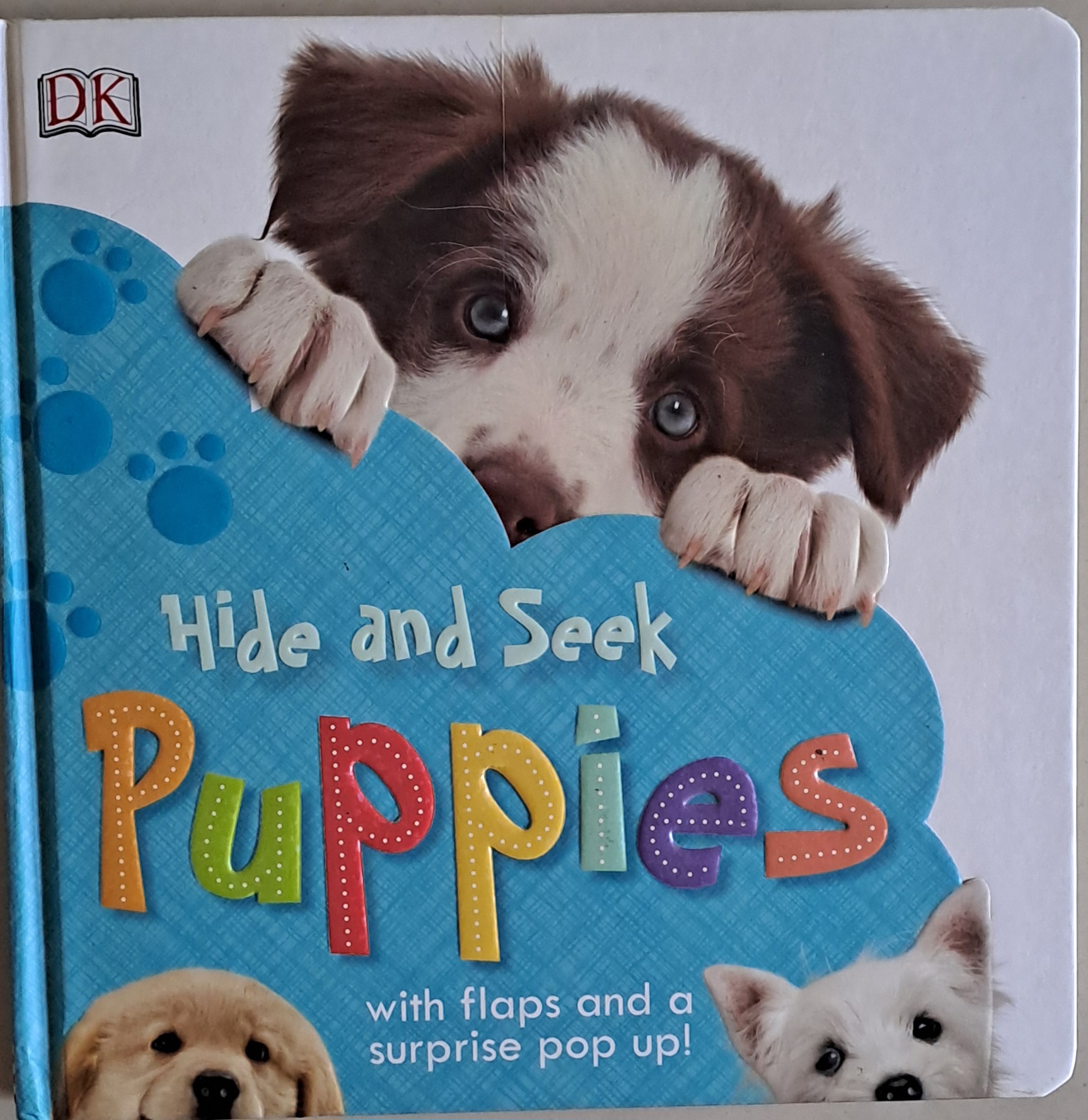 IMG : Hide and Seek Puppies