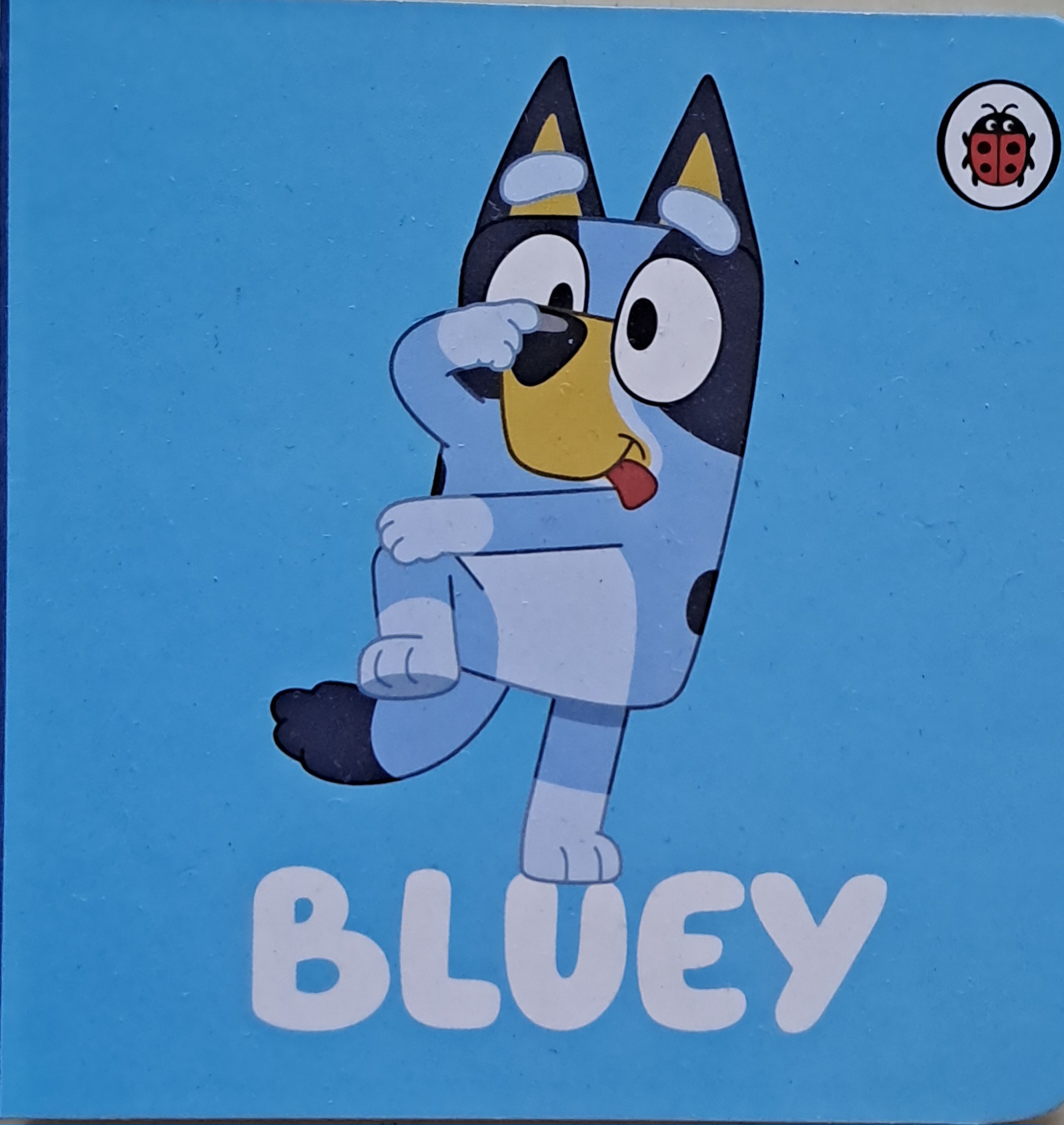IMG : Bluey Little Library Bluey