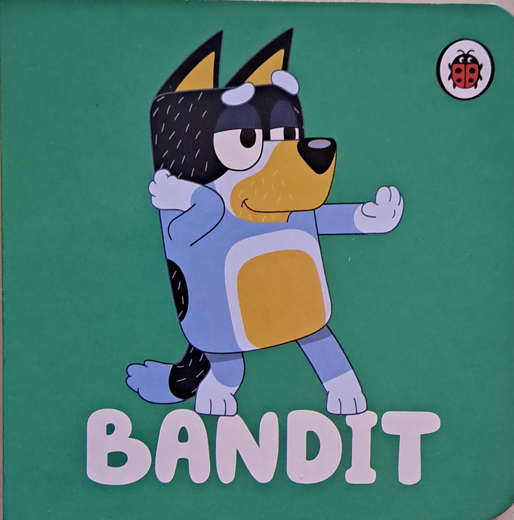 IMG : Bluey Little Library Bandit