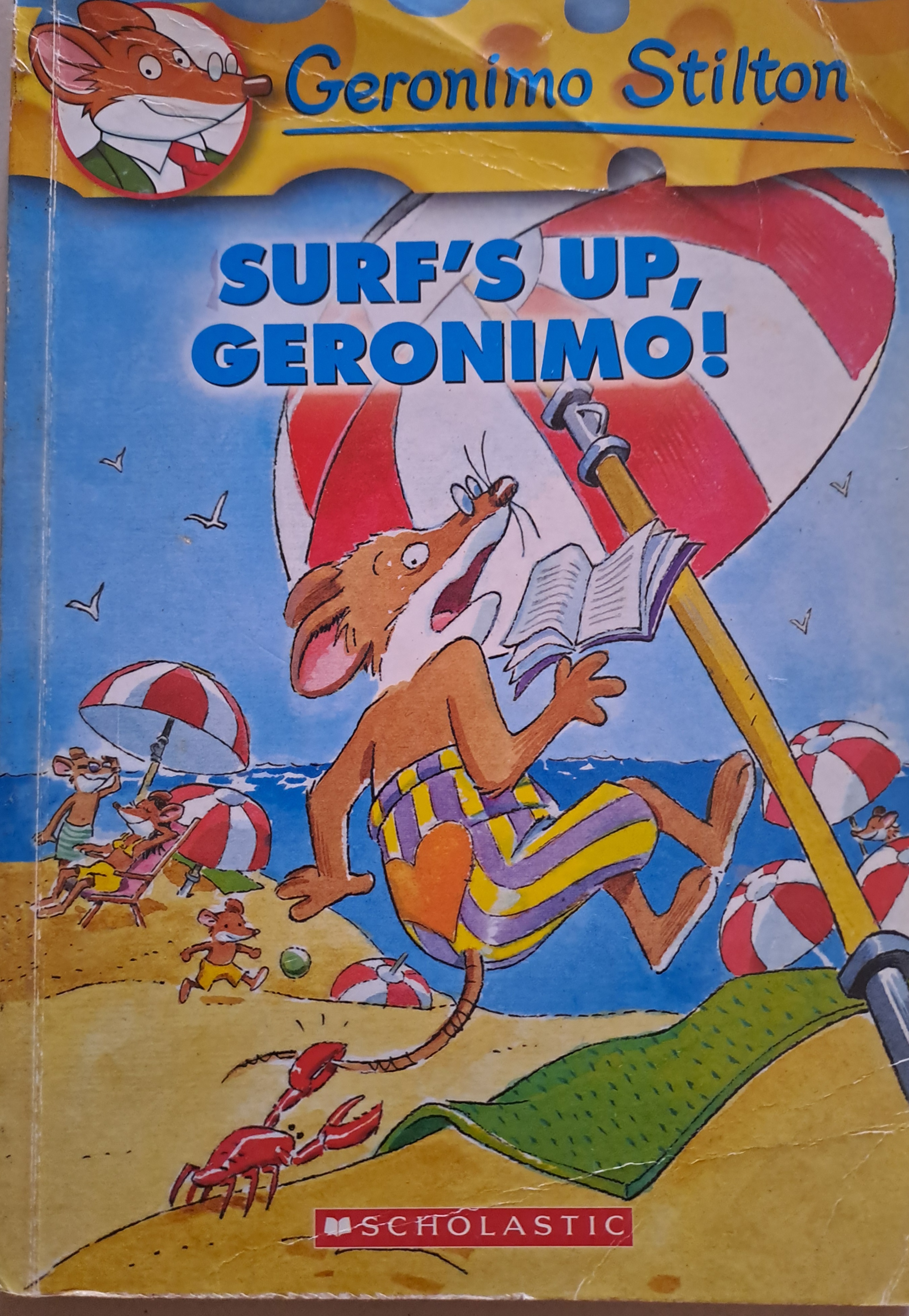 IMG : Geronimo Stilton Surf's Up, Geronimo!