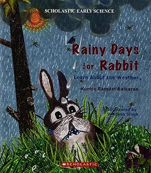 IMG : Rainy Days For Rabbit 