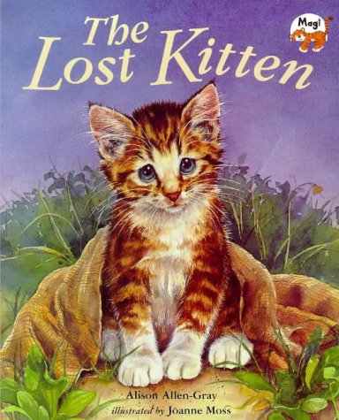IMG : The Lost Kitten