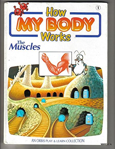 IMG : How my body works- The muscles