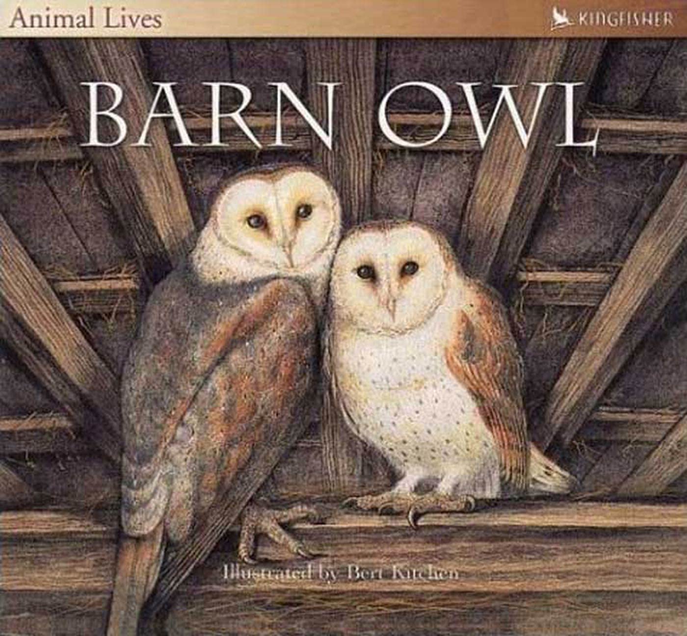 IMG : Animal Lives The Barn Owl