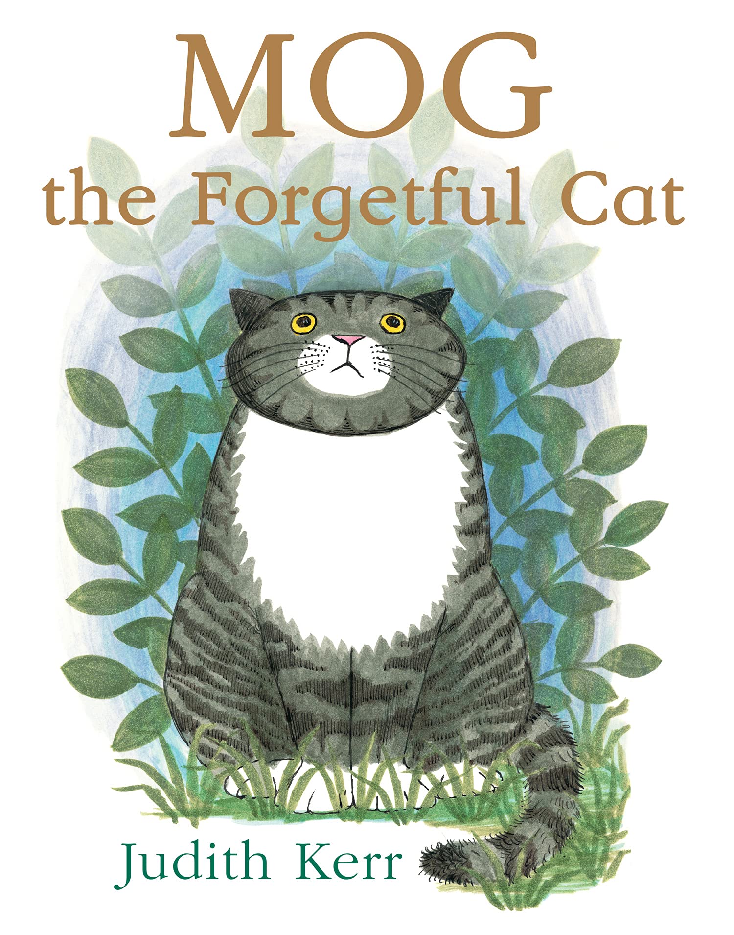 IMG : Mog the Forgetful Cat
