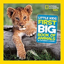 IMG : Little kids first big book of animals