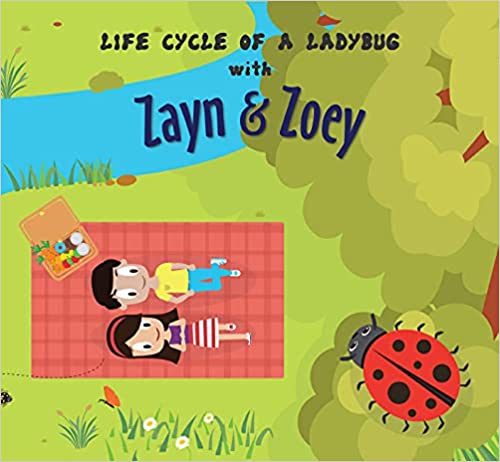 IMG : Zayn and Zoey Life cycle of a Ladybug