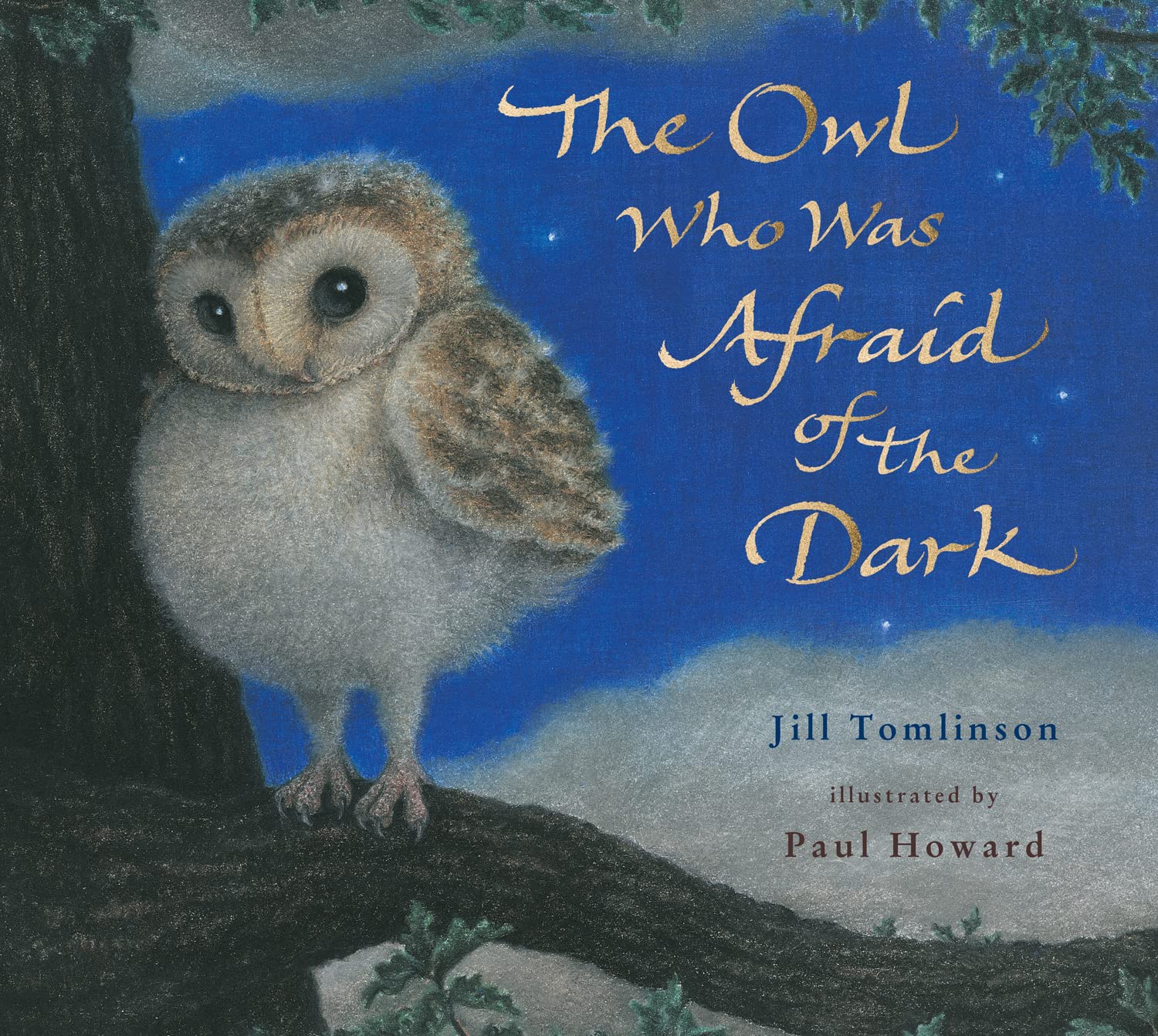 IMG : The Owl who was afraid of the dark