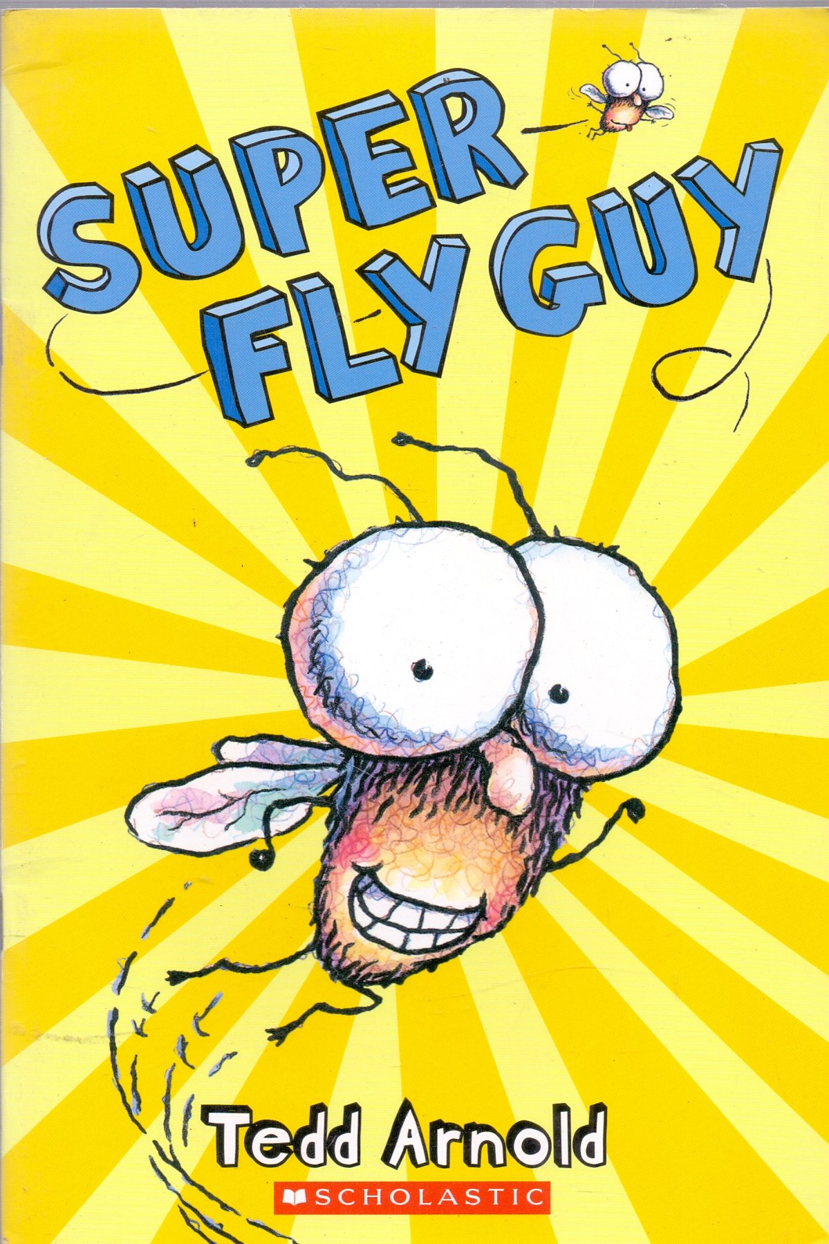 IMG : Super Fly Guy