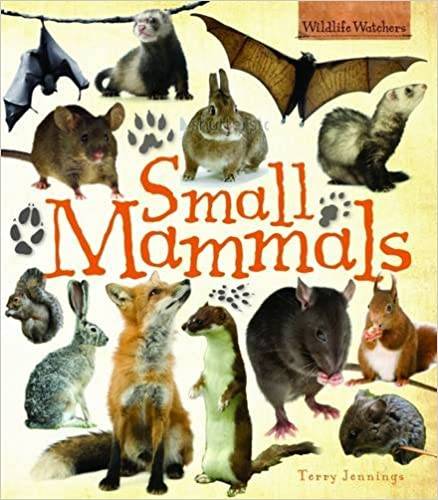 IMG : Small Mammals