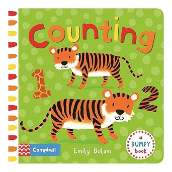 IMG : A Bumpy Book Counting