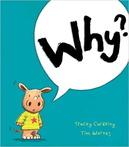 IMG : Why?