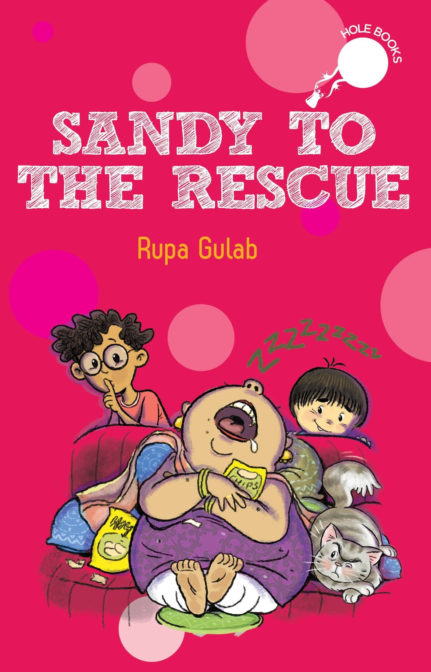 IMG : Hole book-Sandy to the rescue