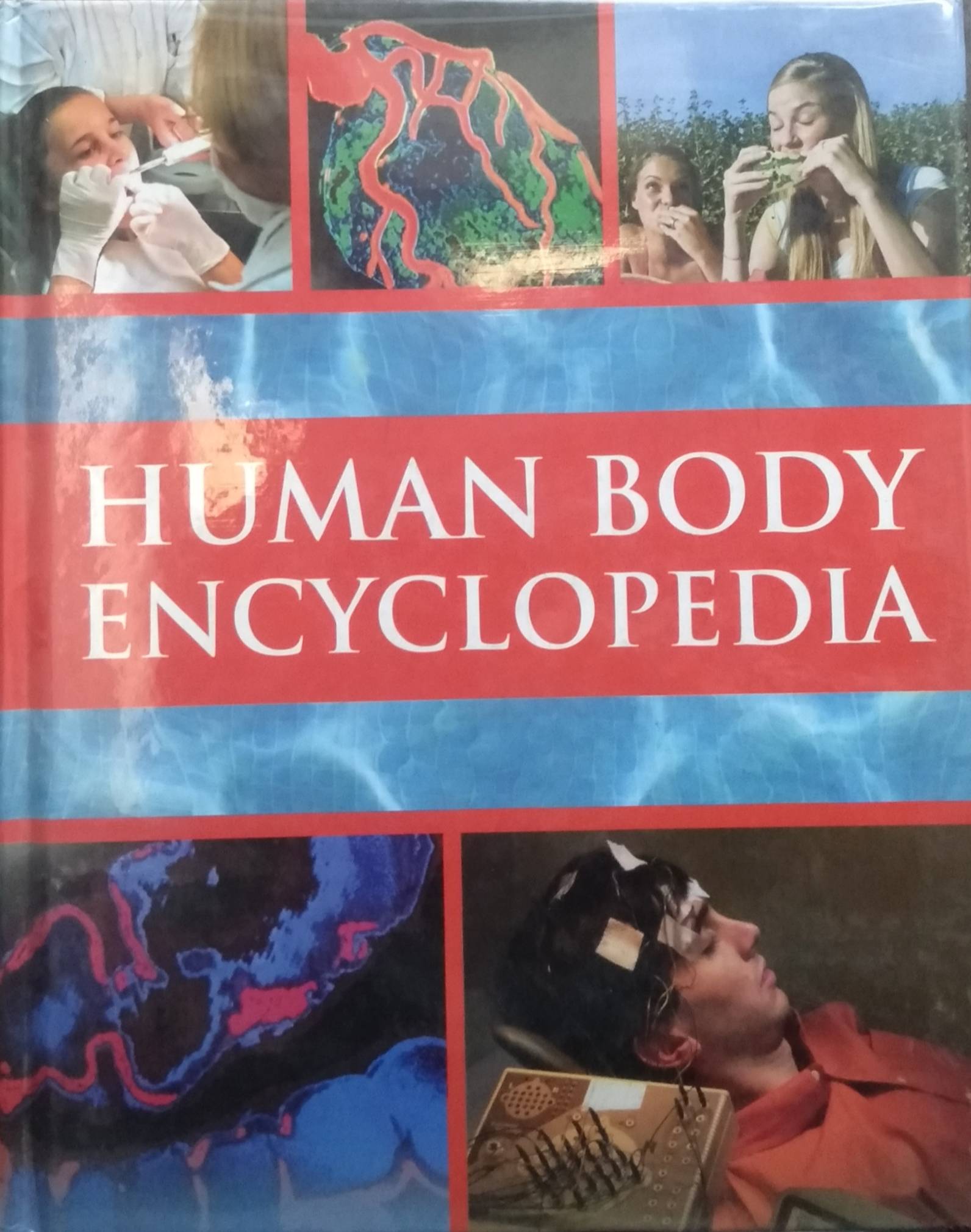 IMG : Human Body Encyclopedia