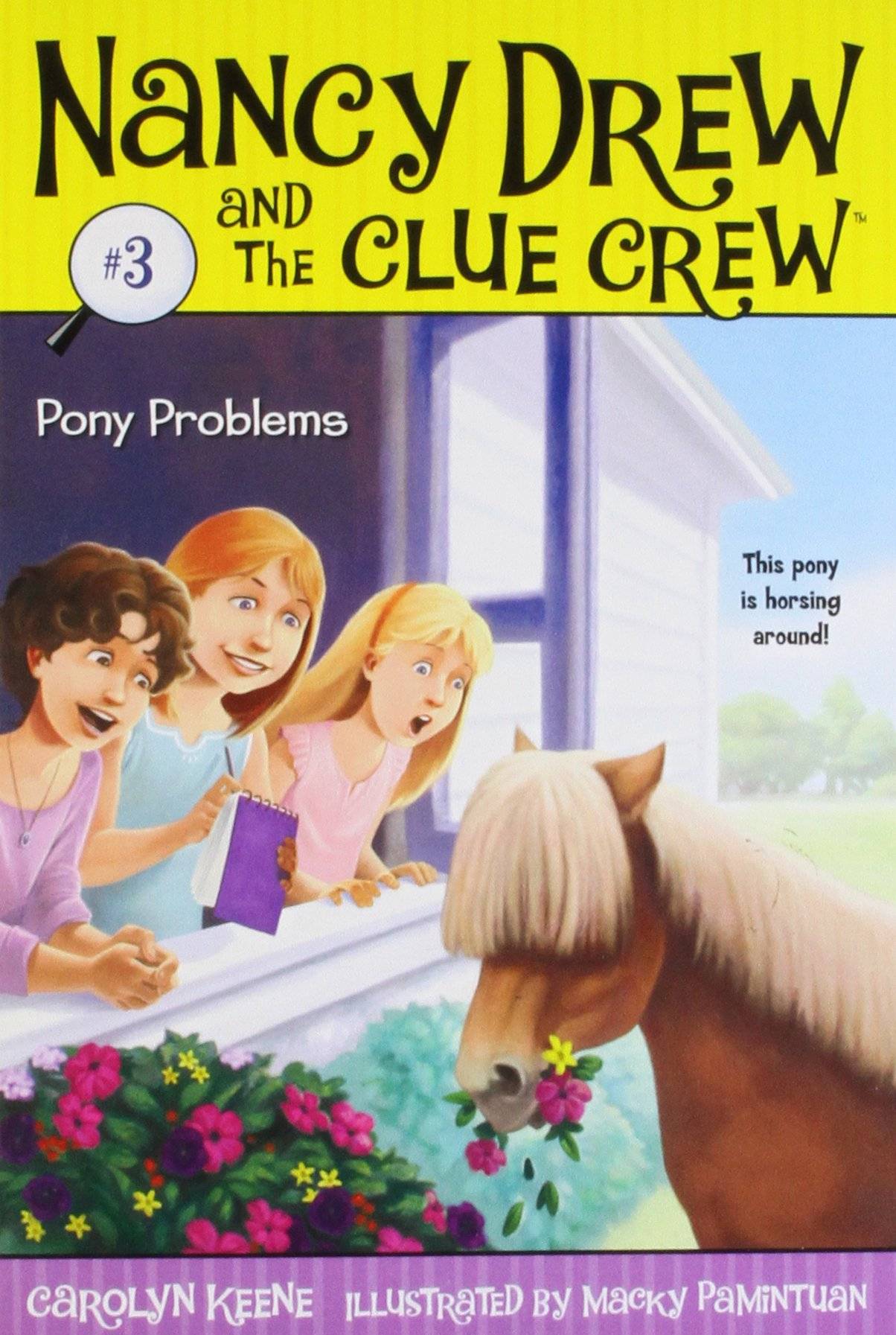 IMG : The Nancy Drew and the Clue Crew  Pony Problems #3