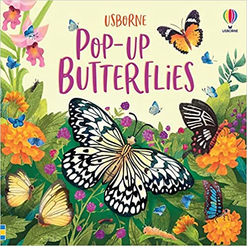 IMG : Pop- Up Butterflies