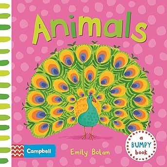 IMG : A Bumpy Book Animals