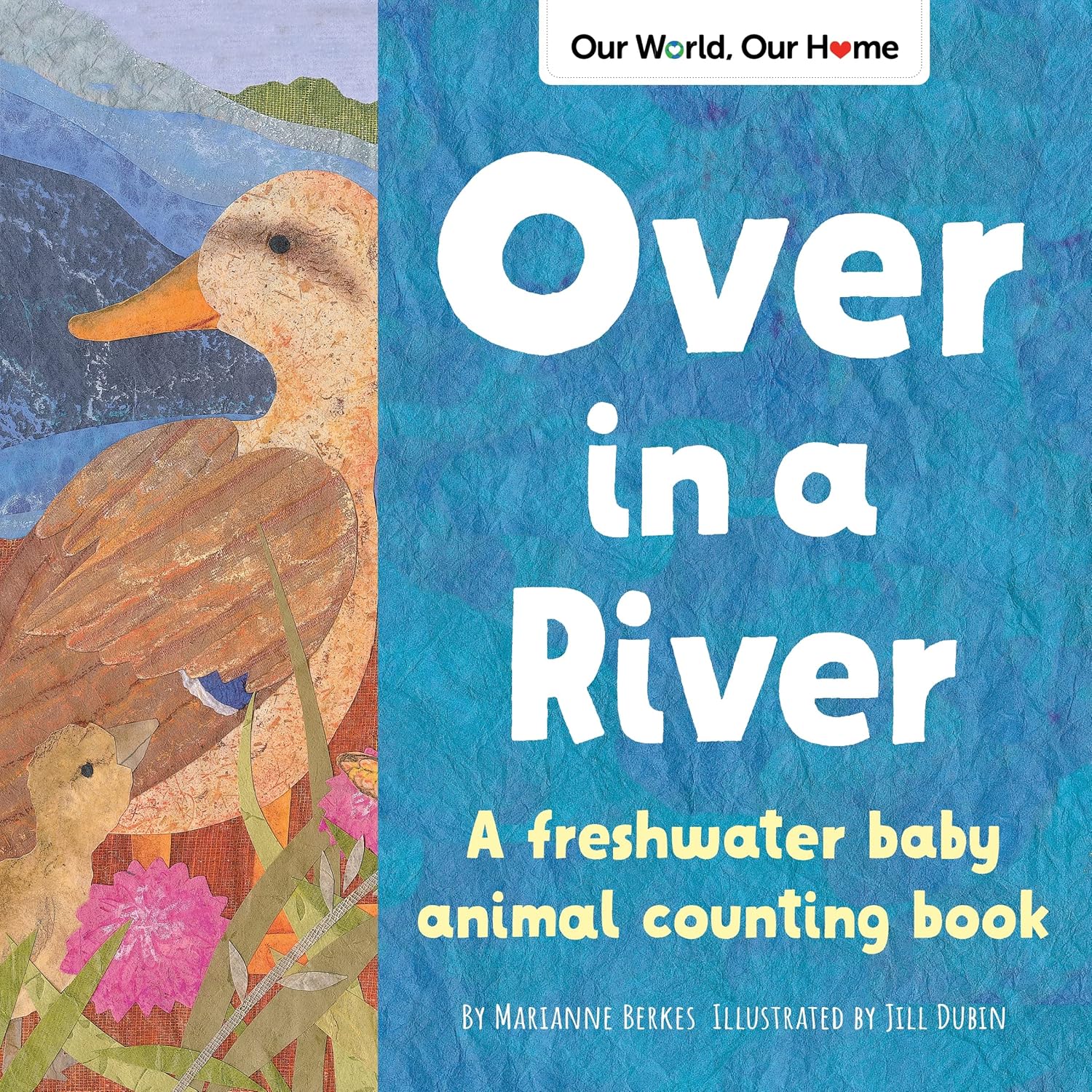 IMG : Our World, Our Home Over in a River