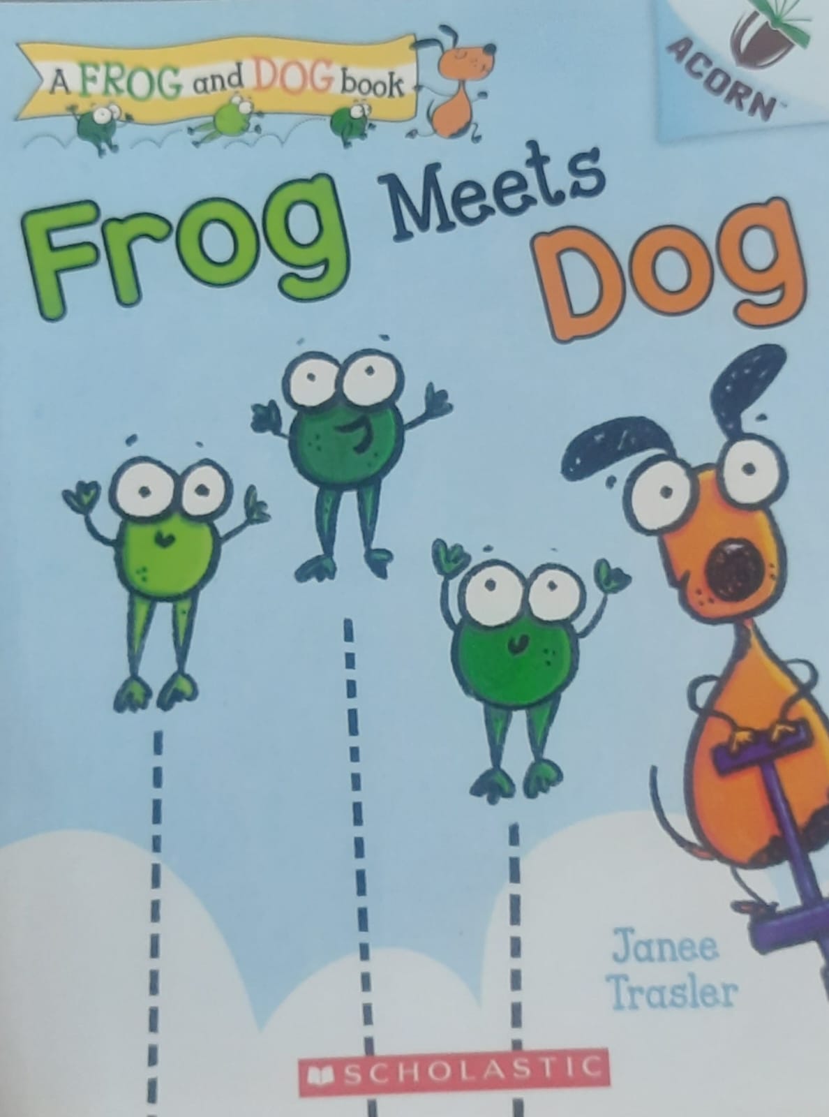 IMG : Frog Meets Dog