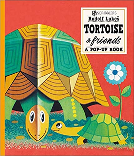 IMG : Tortoise and Friends