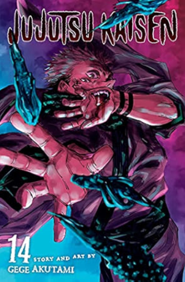 IMG : Manga: Jujutsu Kaisen #14